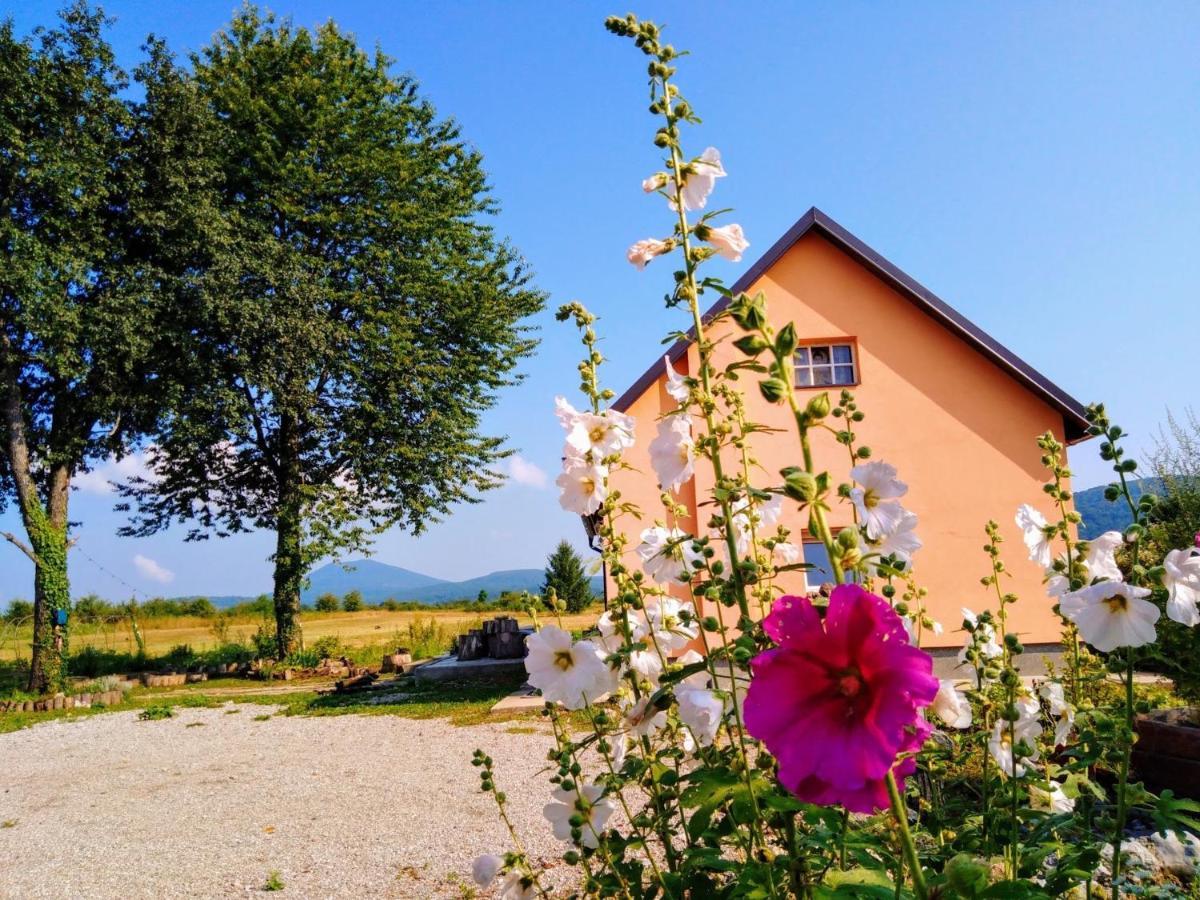 Peace Valley - Dolina Mira Janja Gora Luaran gambar