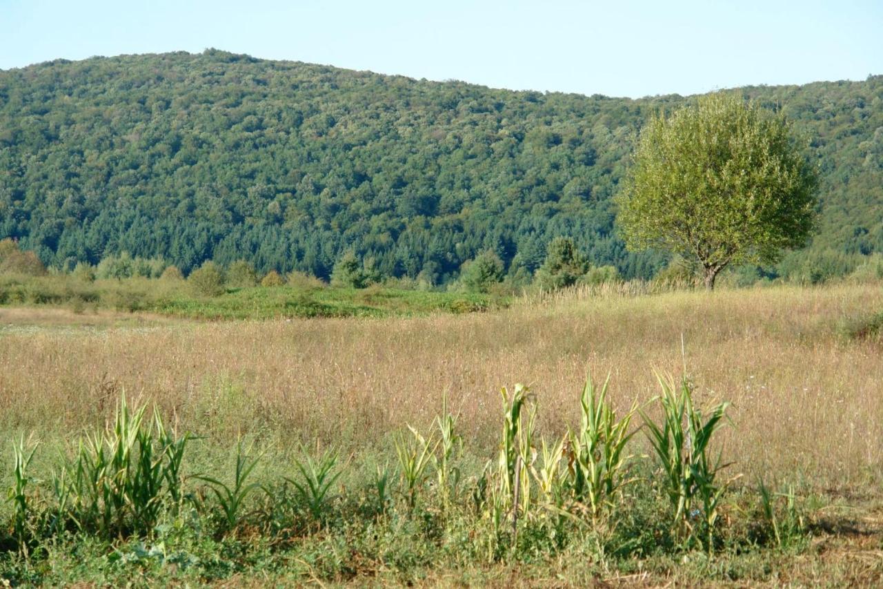 Peace Valley - Dolina Mira Janja Gora Luaran gambar