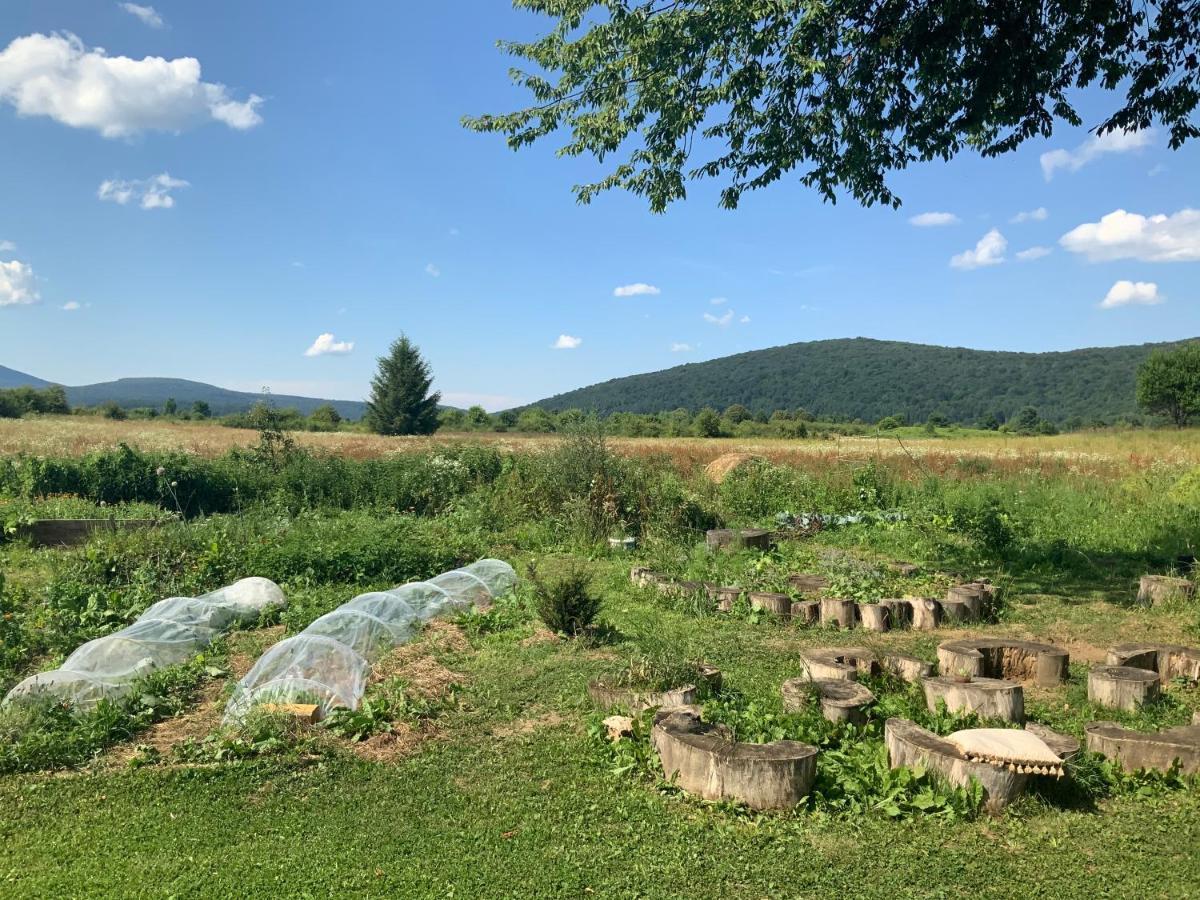 Peace Valley - Dolina Mira Janja Gora Luaran gambar