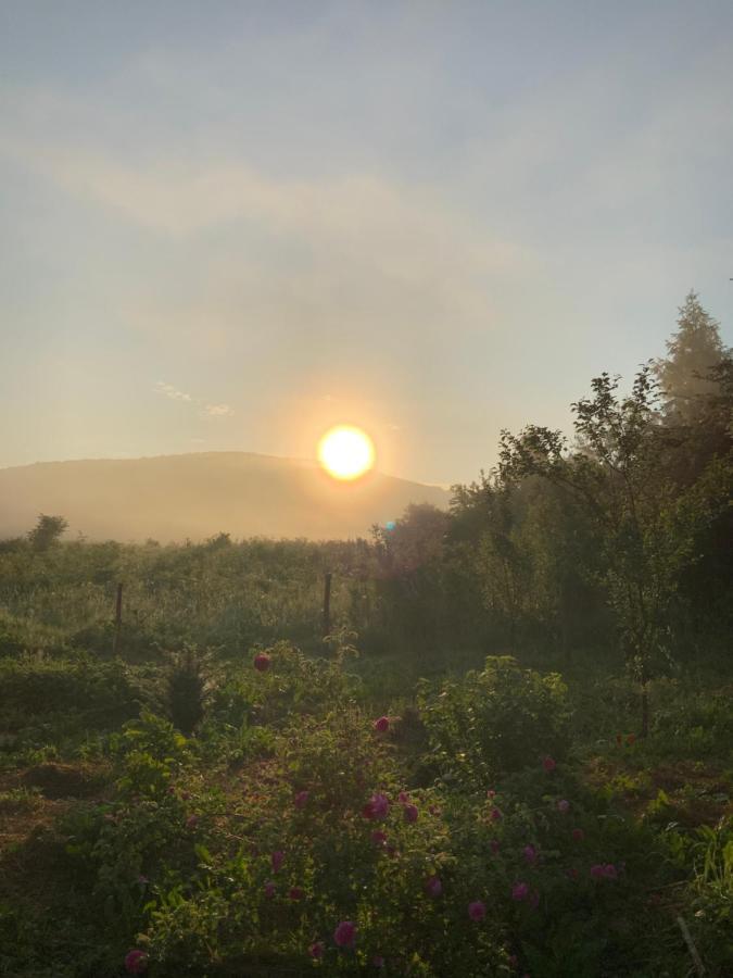 Peace Valley - Dolina Mira Janja Gora Luaran gambar