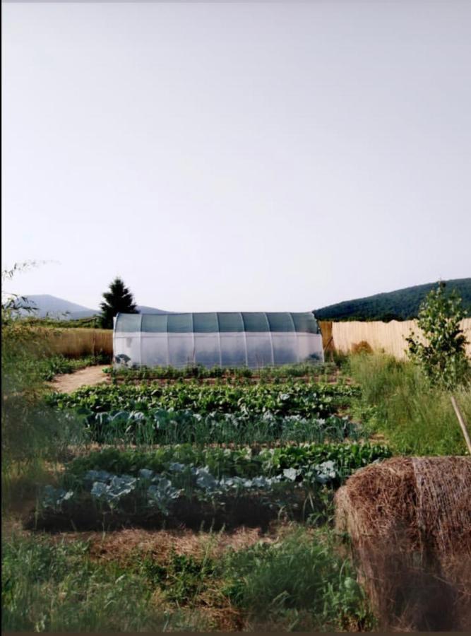 Peace Valley - Dolina Mira Janja Gora Luaran gambar
