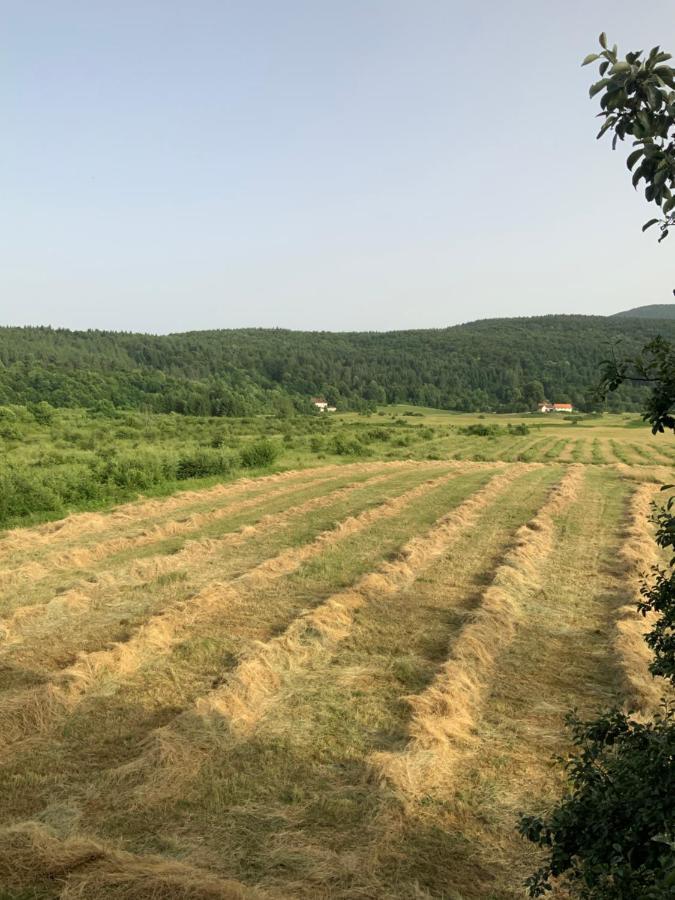 Peace Valley - Dolina Mira Janja Gora Luaran gambar