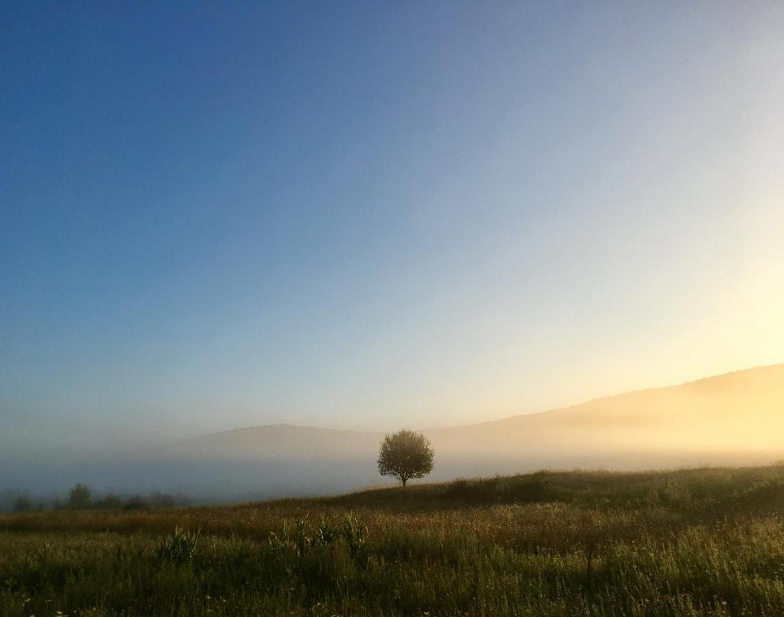 Peace Valley - Dolina Mira Janja Gora Luaran gambar