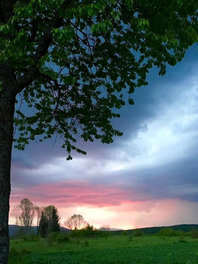 Peace Valley - Dolina Mira Janja Gora Luaran gambar